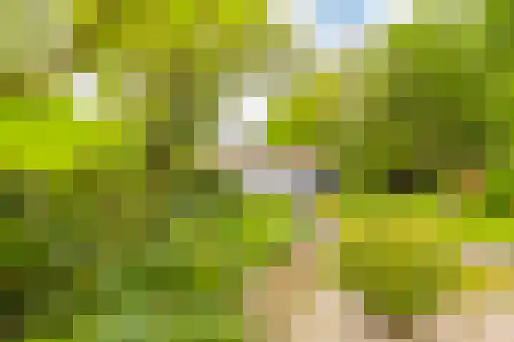 Abtspoelhof 11 Oegstgeest thumbnail 49