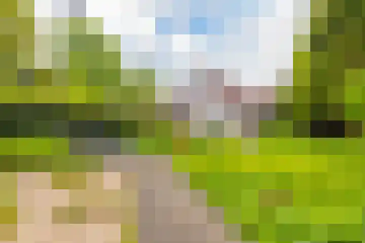 Abtspoelhof 11 Oegstgeest thumbnail 50