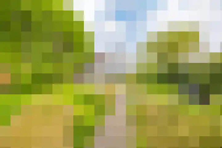 Abtspoelhof 11 Oegstgeest thumbnail 53