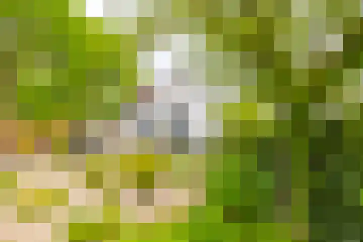 Abtspoelhof 11 Oegstgeest thumbnail 54