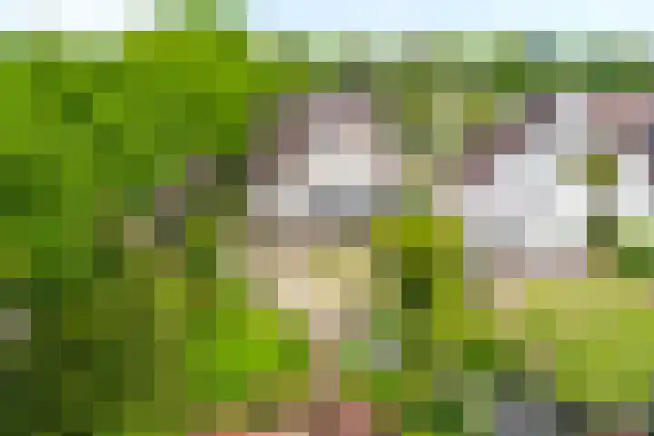 Abtspoelhof 11 Oegstgeest thumbnail 55