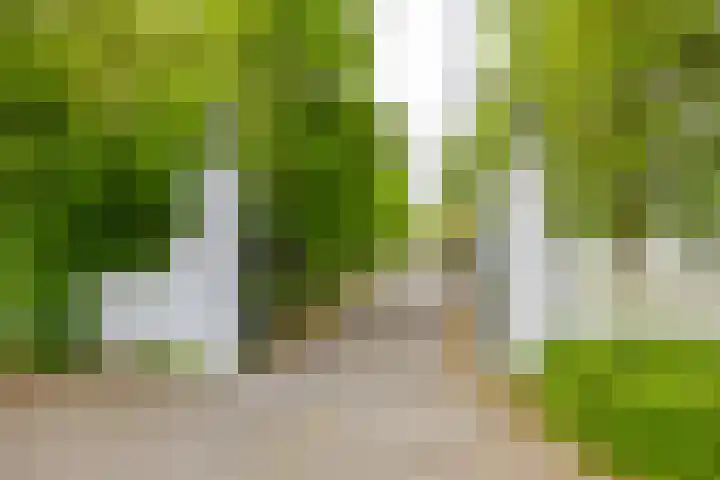 Abtspoelhof 11 Oegstgeest thumbnail 6