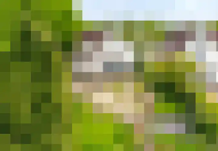 Abtspoelhof 11 Oegstgeest thumbnail 61