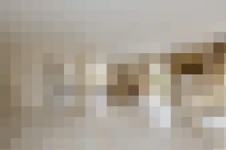 Abtspoelhof 11 Oegstgeest thumbnail 8