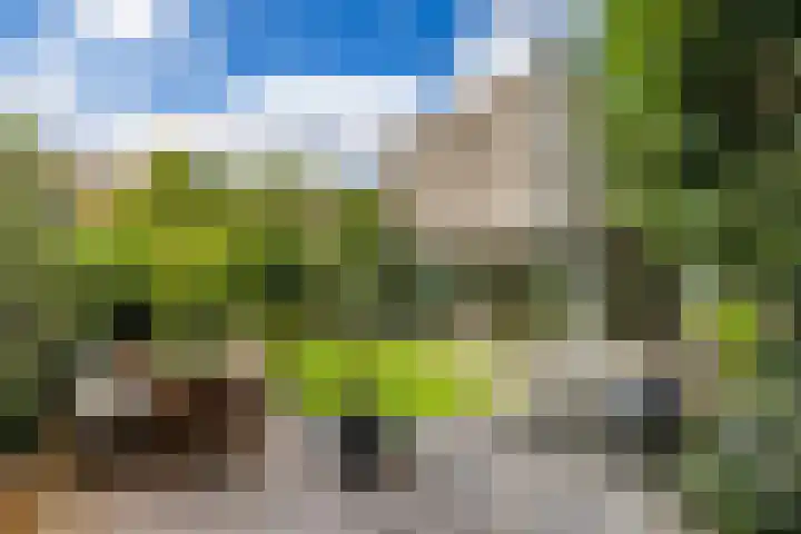 Abtspoelweg 3 Oegstgeest thumbnail 10