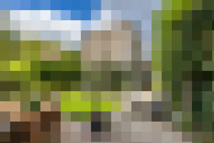 Abtspoelweg 3 Oegstgeest thumbnail 11