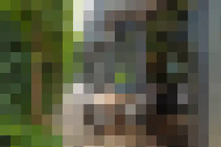 Abtspoelweg 3 Oegstgeest thumbnail 13