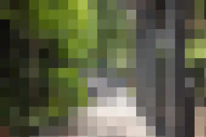 Abtspoelweg 3 Oegstgeest thumbnail 14