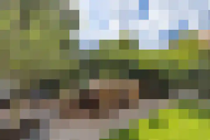 Abtspoelweg 3 Oegstgeest thumbnail 17