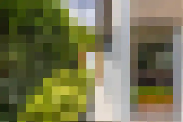 Abtspoelweg 3 Oegstgeest thumbnail 18