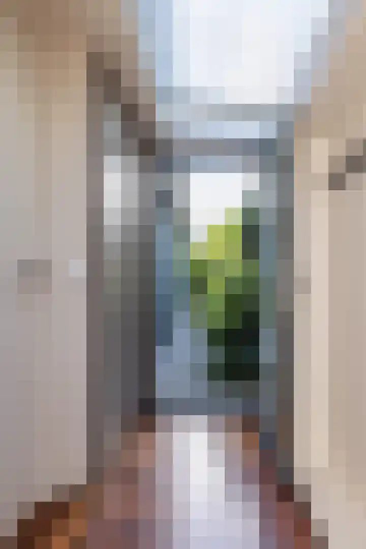 Abtspoelweg 3 Oegstgeest thumbnail 19