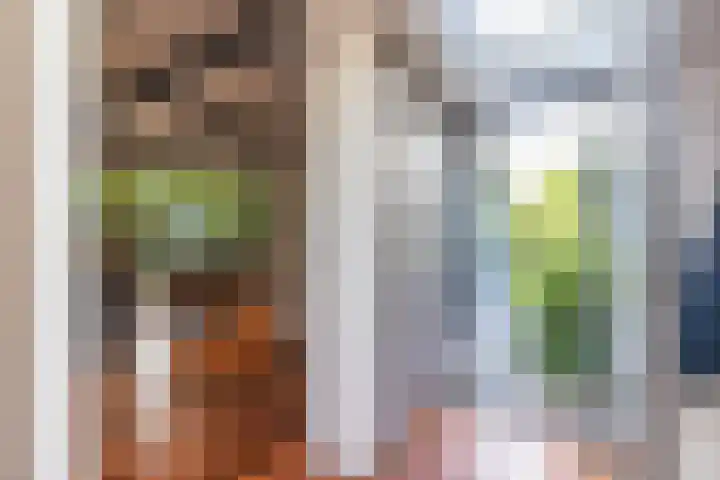 Abtspoelweg 3 Oegstgeest thumbnail 20