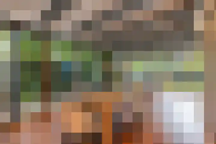 Abtspoelweg 3 Oegstgeest thumbnail 23