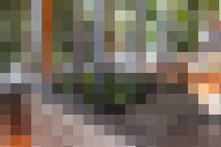 Abtspoelweg 3 Oegstgeest thumbnail 25