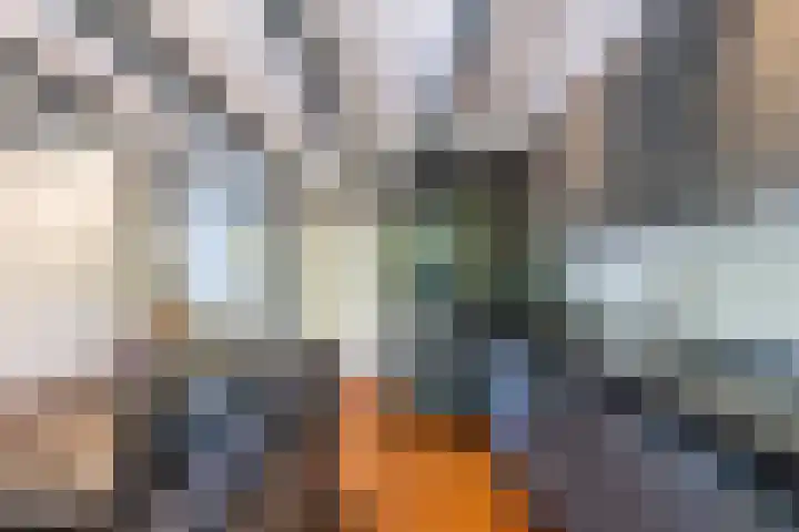 Abtspoelweg 3 Oegstgeest thumbnail 26