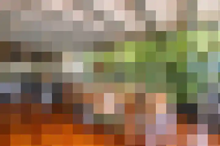Abtspoelweg 3 Oegstgeest thumbnail 30