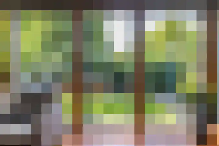 Abtspoelweg 3 Oegstgeest thumbnail 31