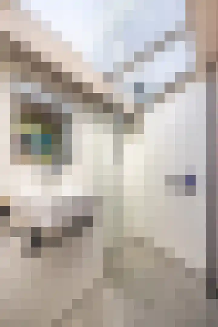 Abtspoelweg 3 Oegstgeest thumbnail 38