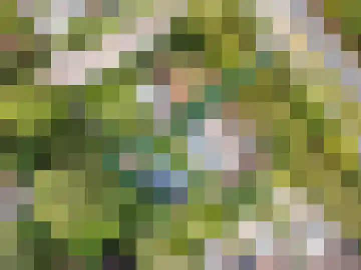 Abtspoelweg 3 Oegstgeest thumbnail 4