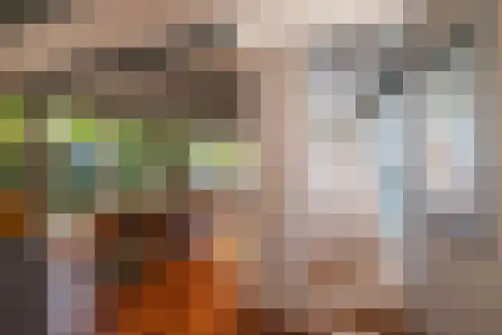 Abtspoelweg 3 Oegstgeest thumbnail 42