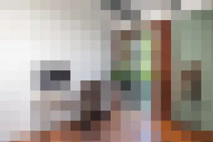 Abtspoelweg 3 Oegstgeest thumbnail 46