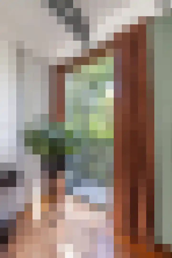 Abtspoelweg 3 Oegstgeest thumbnail 47