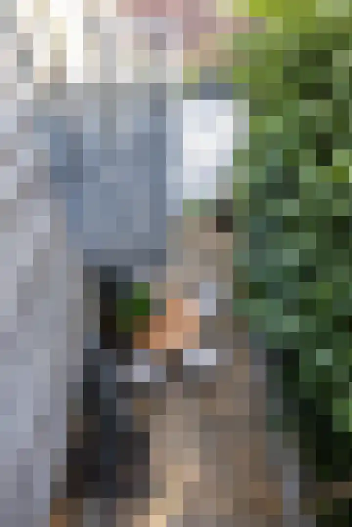 Abtspoelweg 3 Oegstgeest thumbnail 48