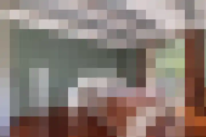 Abtspoelweg 3 Oegstgeest thumbnail 49