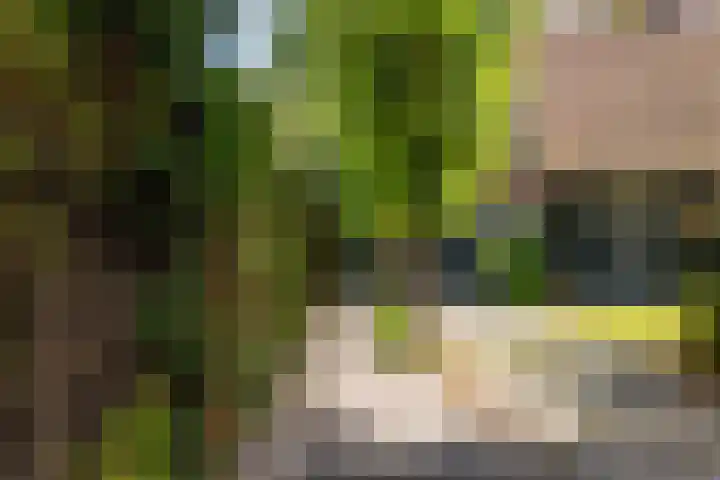 Abtspoelweg 3 Oegstgeest thumbnail 5