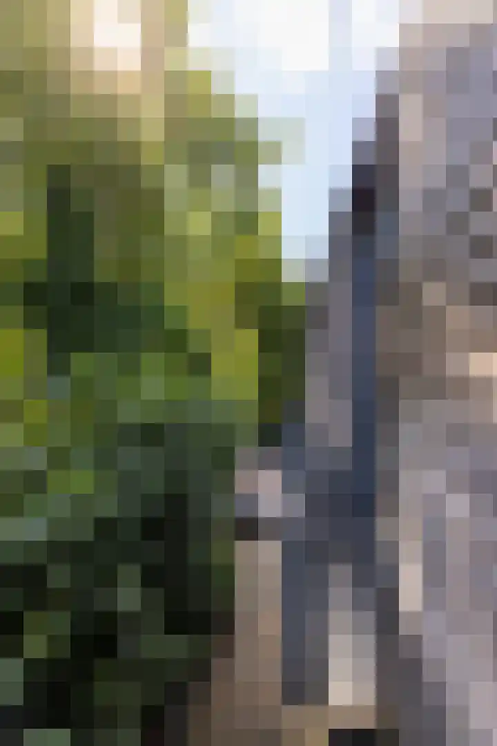Abtspoelweg 3 Oegstgeest thumbnail 53