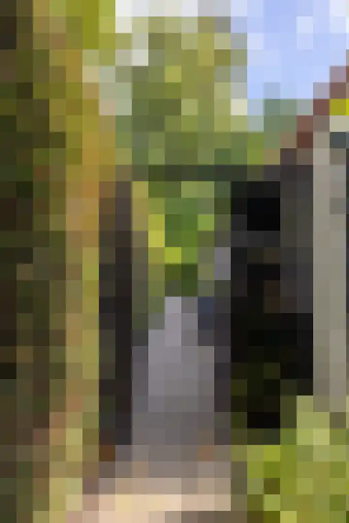 Abtspoelweg 3 Oegstgeest thumbnail 6
