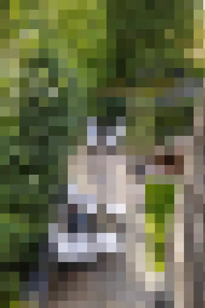 Abtspoelweg 3 Oegstgeest thumbnail 61