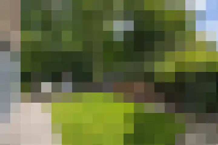 Abtspoelweg 3 Oegstgeest thumbnail 7