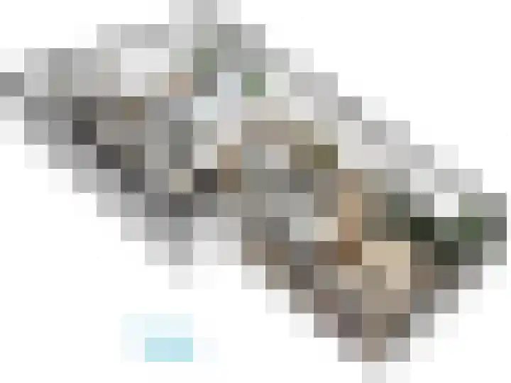 Abtspoelweg 3 Oegstgeest thumbnail 78