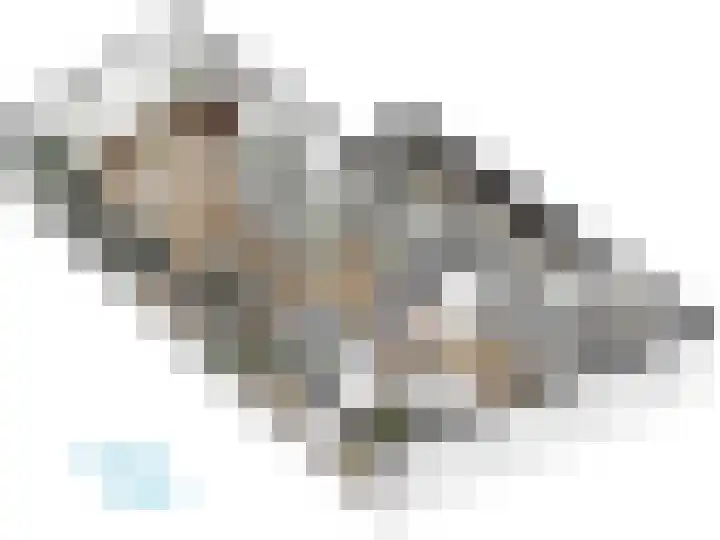 Abtspoelweg 3 Oegstgeest thumbnail 80