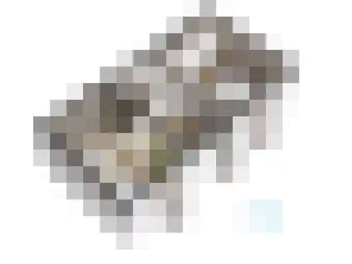 Abtspoelweg 3 Oegstgeest thumbnail 83