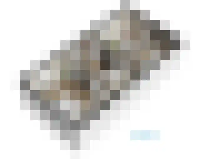 Abtspoelweg 3 Oegstgeest thumbnail 85