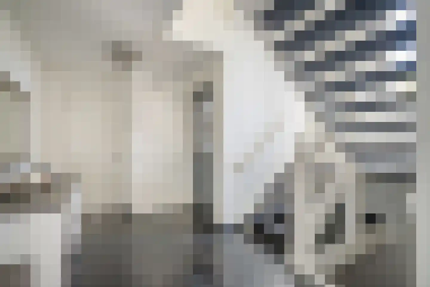 Abtsregt 6 Delft thumbnail 18