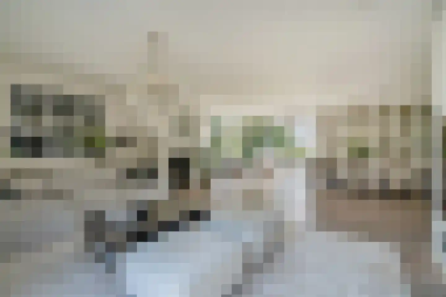 Abtsregt 6 Delft thumbnail 19