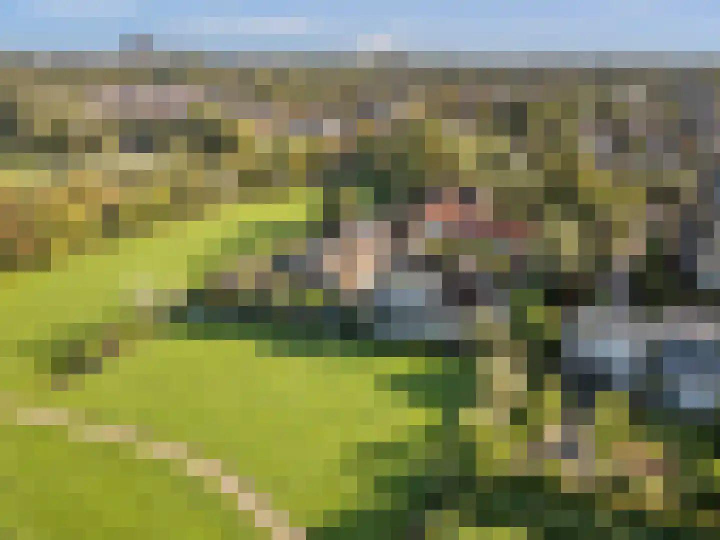 Abtsregt 6 Delft foto 2