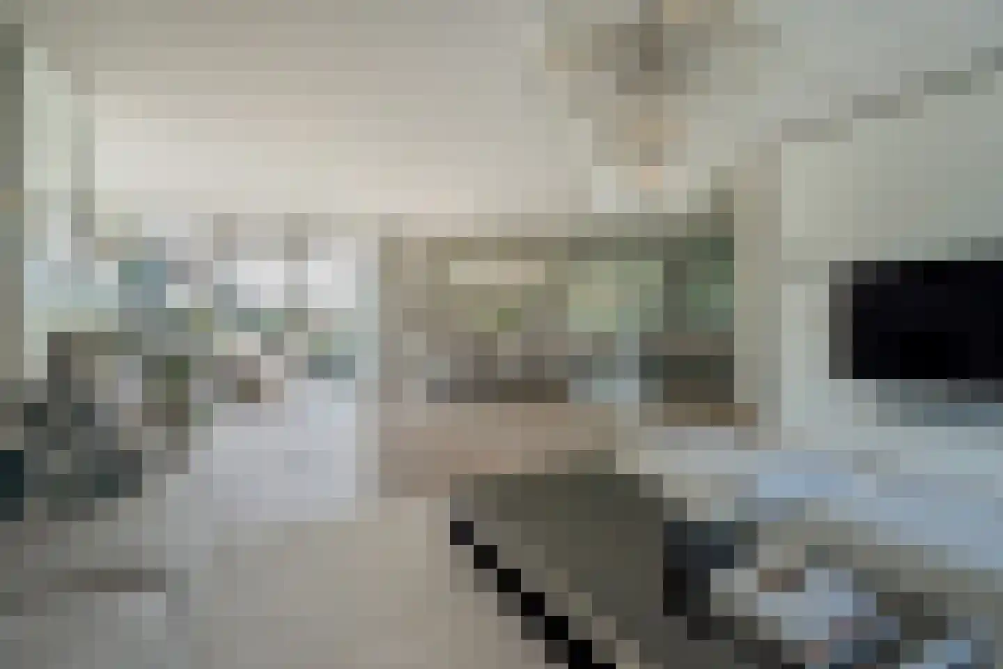 Abtsregt 6 Delft thumbnail 24