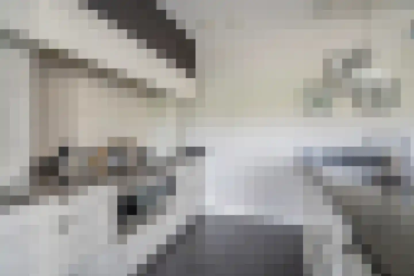 Abtsregt 6 Delft thumbnail 30