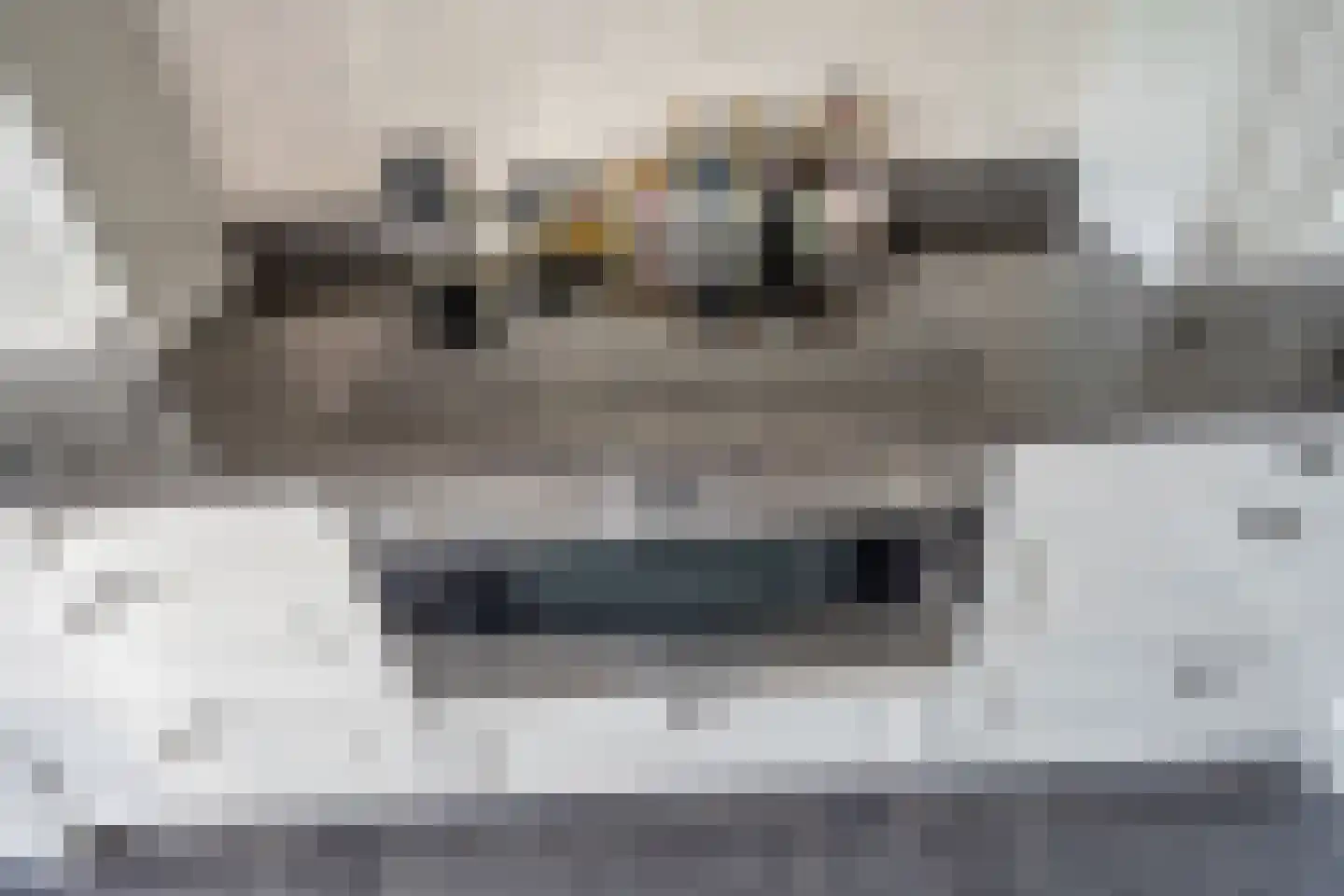 Abtsregt 6 Delft thumbnail 31