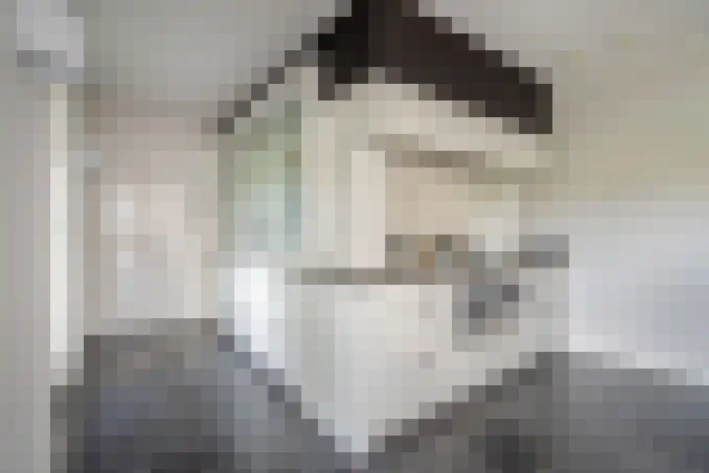 Abtsregt 6 Delft thumbnail 32