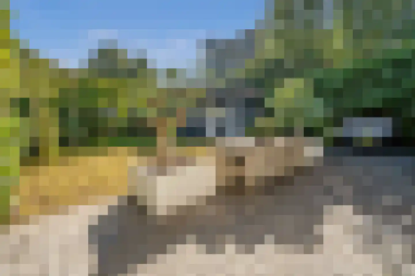 Abtsregt 6 Delft thumbnail 43