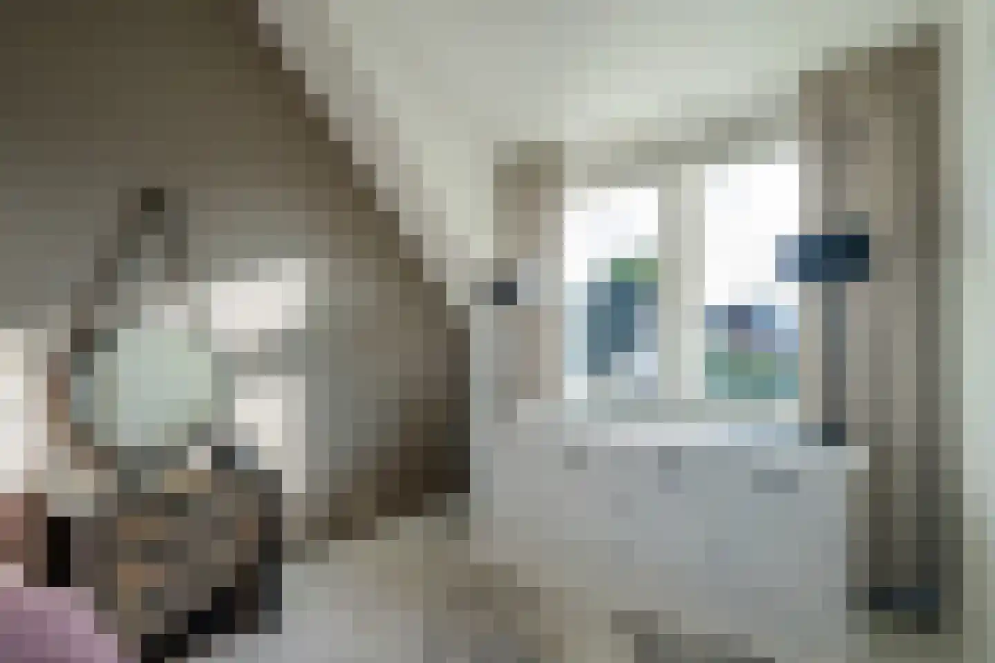 Abtsregt 6 Delft thumbnail 51