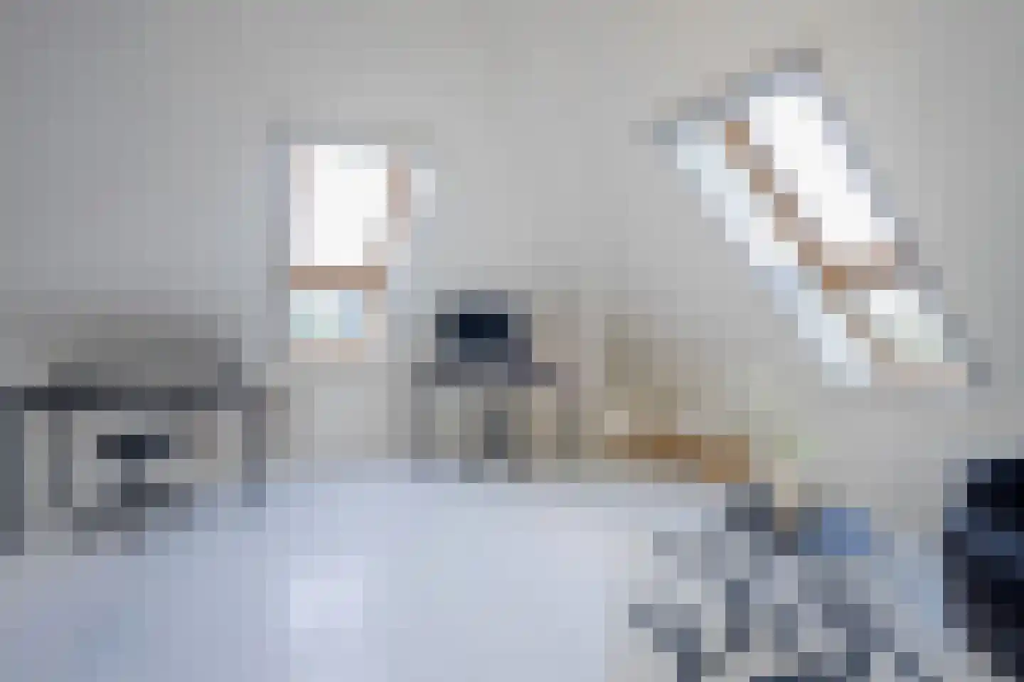 Abtsregt 6 Delft thumbnail 60