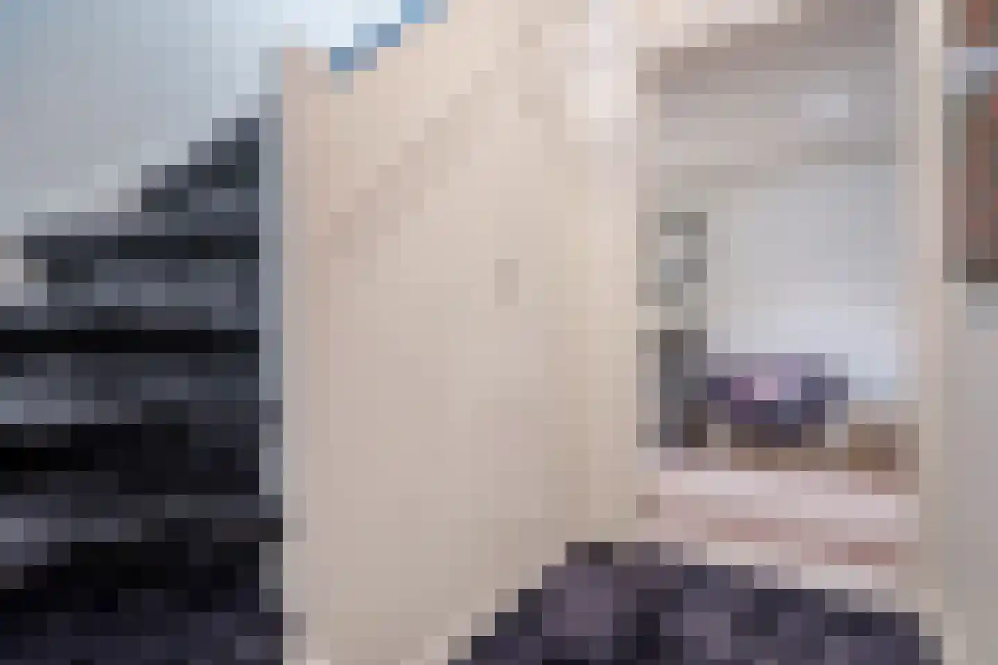 Abtsregt 6 Delft thumbnail 62