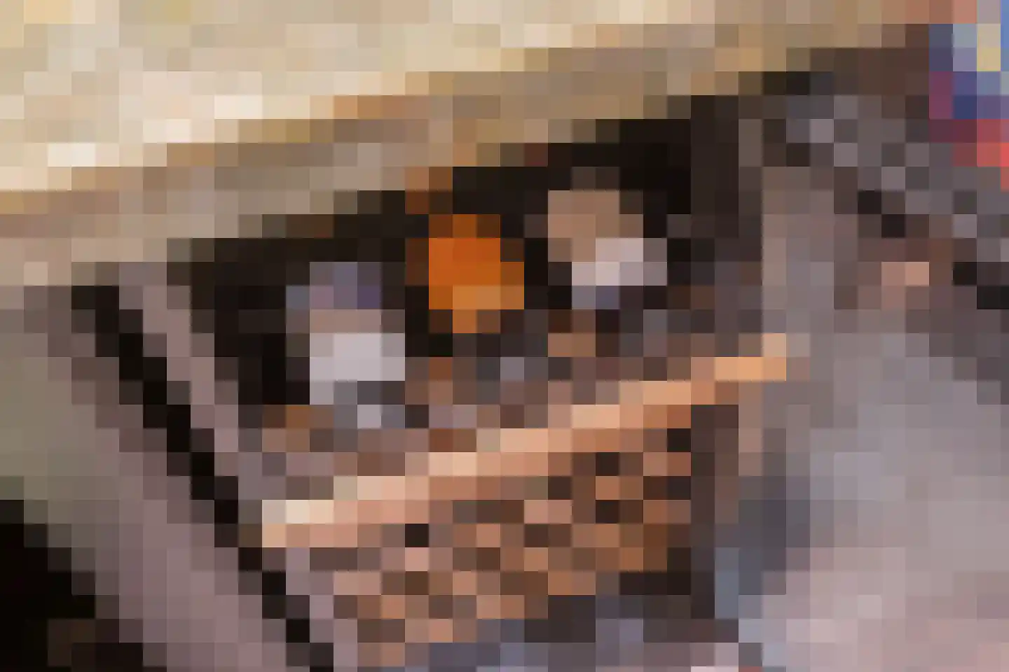 Abtsregt 6 Delft thumbnail 65