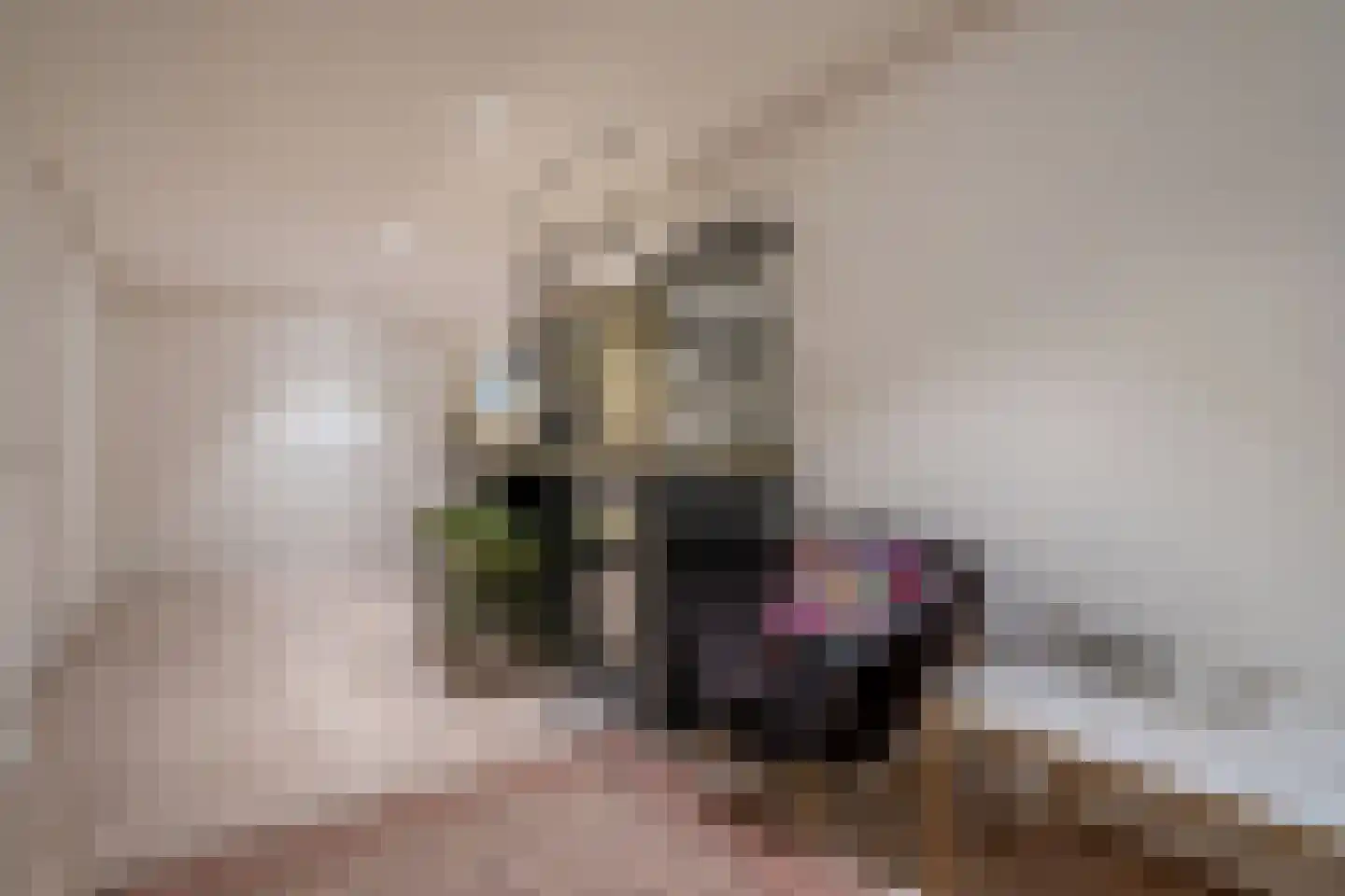 Abtsregt 6 Delft thumbnail 66